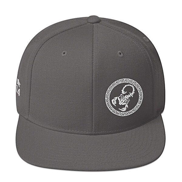 King Scorpion 360 Snapback Hat | Dark Silver