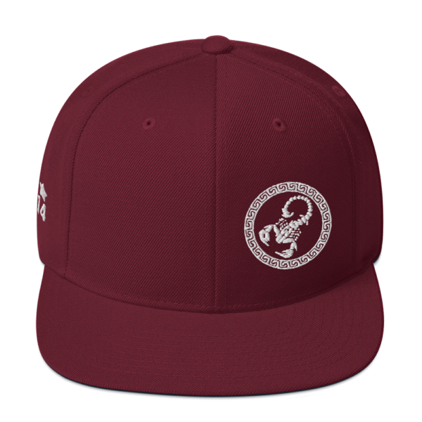 KS3 Embroidered Snapback Hat | Maroon