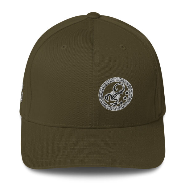 Olive King Scorpion 360 Twill Cap
